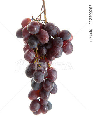 Bunch of organic black grapes isolated on white background. Bunch of organic black grapes isolated on white background. 112500268