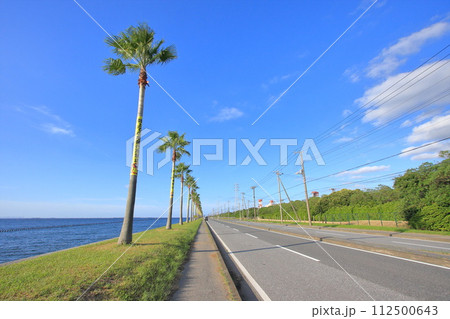 千葉県・袖ヶ浦市・千葉フォルニア 千葉県・袖ヶ浦市・千葉フォルニア 112500643