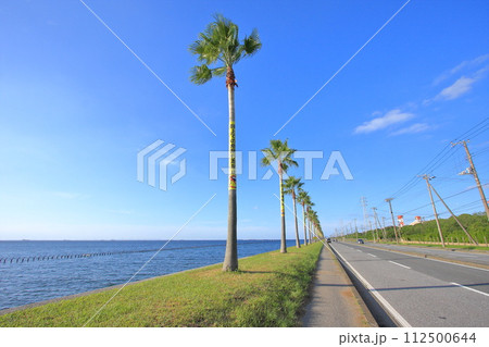 千葉県・袖ヶ浦市・千葉フォルニア 112500644