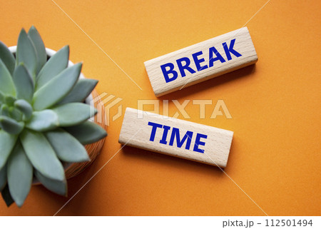 Break Time symbol. Concept word Break Time on wooden blocks. Beautiful orange background with succulent plant. Business and Break Time concept. Copy space 112501494