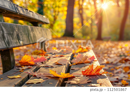 AI-generated content. Morning light falling on autumn leaves on bench 112501867