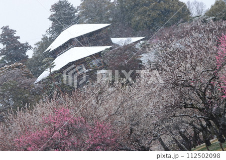 【茨木県】雪化粧をした水戸偕楽園の好文亭 【茨木県】雪化粧をした水戸偕楽園の好文亭 112502098