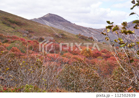 北海道 樽前山登山道からの眺め 北海道 樽前山登山道からの眺め 112502639