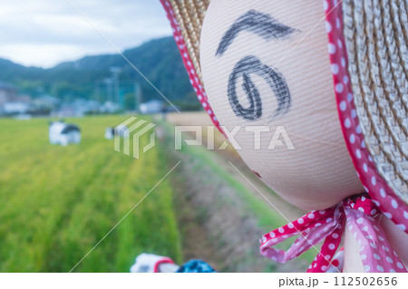 稲刈りの終わった田圃に残された案山子 稲刈りの終わった田圃に残された案山子 112502656