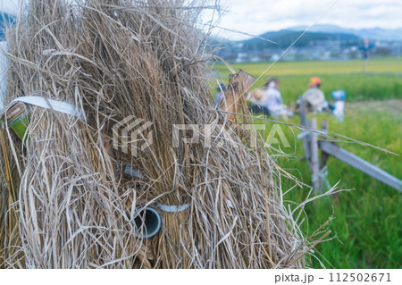 稲刈りの終わった田圃に残された案山子 稲刈りの終わった田圃に残された案山子 112502671
