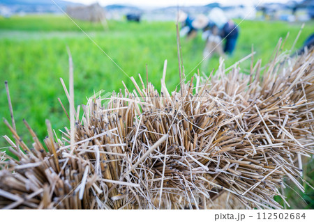 稲刈りの終わった田圃に残された案山子 112502684