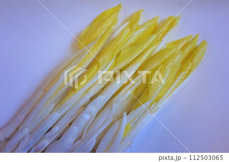 山菜　雪うるい　うるい 112503065