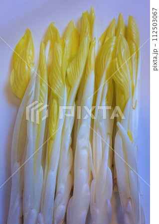 山菜　雪うるい　うるい 112503067