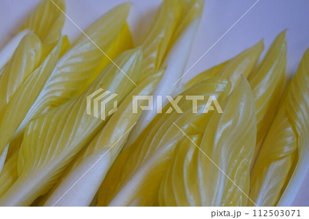 山菜　雪うるい　うるい 112503071