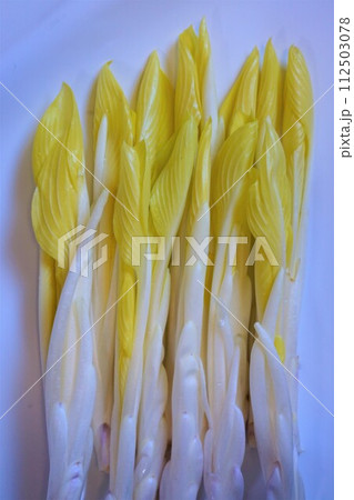 山菜　雪うるい　うるい 112503078