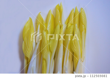 山菜　雪うるい　うるい 112503081