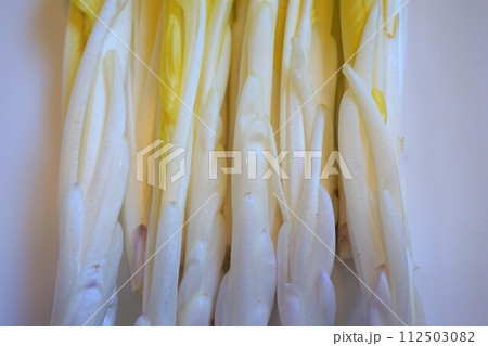 山菜　雪うるい　うるい 112503082