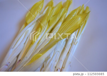 山菜　雪うるい　うるい 112503085