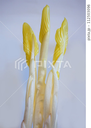 山菜　雪うるい　うるい 112503096