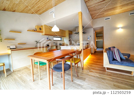 ペット同居型デザイナーズ住宅のお洒落なリビング ペット同居型デザイナーズ住宅のお洒落なリビング 112503259