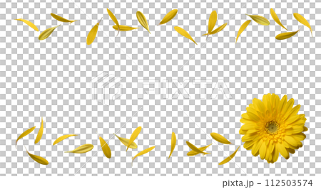 Transparent background material with yellow gerbera cut out 112503574