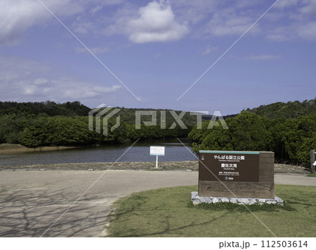 やんばる国立公園 慶佐次湾のマングローブ やんばる国立公園 慶佐次湾のマングローブ 112503614