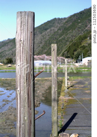 田んぼのはざかけ 112503690