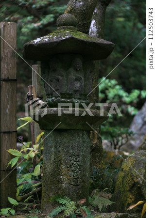 苔むした灯籠 苔むした灯籠 112503743