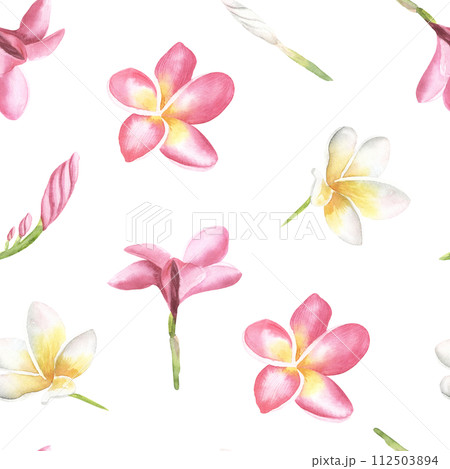 Watercolor frangipani seamless pattern. Hand drawn illustration. Plumeria or Temple tree flower. For textile, wallpaper, cosmetics design. Watercolor frangipani seamless pattern. Hand drawn illustration. Plumeria or Temple tree flower. For textile, wallpaper, cosmetics design. 112503894