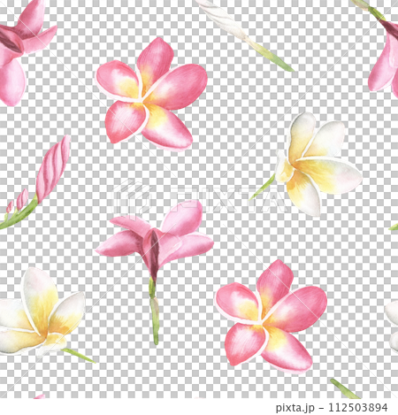 Watercolor frangipani seamless pattern. Hand drawn illustration. Plumeria or Temple tree flower. For textile, wallpaper, cosmetics design. Watercolor frangipani seamless pattern. Hand drawn illustration. Plumeria or Temple tree flower. For textile, wallpaper, cosmetics design. 112503894