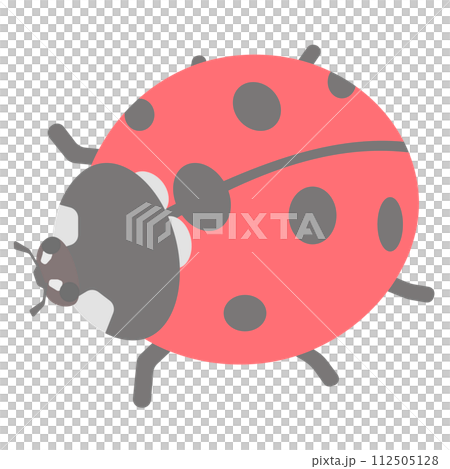 Ladybug illustration Ladybug illustration 112505128