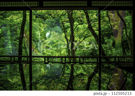 窓から見える緑のある風景 112505213