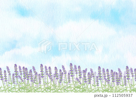 手描きの水彩画　青空とラベンダー畑の風景　横長背景　花言葉は「あなたを待っています」「沈黙」 112505937