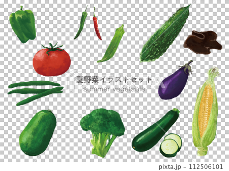 夏季時令蔬菜插圖集 夏季時令蔬菜插圖集 112506101