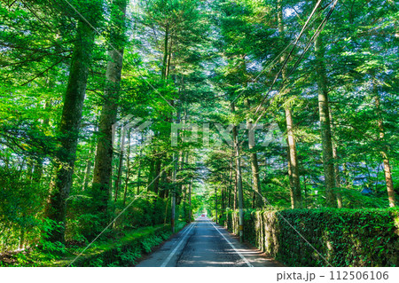 夏の軽井沢　閑静な別荘地 112506106