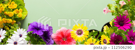 Flowers on a green background 112506290