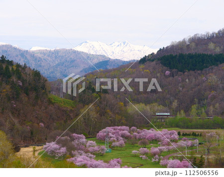 根室本線廃線区間_金山ダムとキハ40 112506556