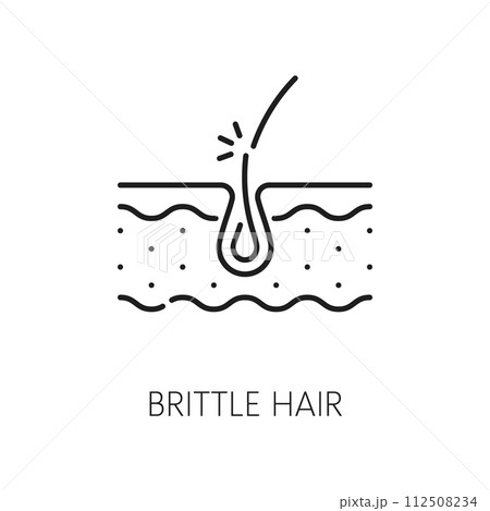 Brittle hair treatment, woman health, skin care line icon. Hair health, styling and grow, spa salon treatment product thin line vector pictogram with brittle hair follicle in skin layer Brittle hair treatment, woman health, skin care line icon. Hair health, styling and grow, spa salon treatment product thin line vector pictogram with brittle hair follicle in skin layer 112508234