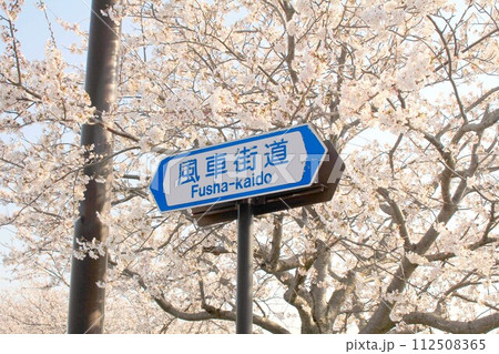 ステージクス高島横の風車街道と桜 112508365