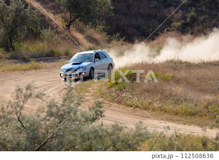 Rally Car in a Turn and a Cloud of Dust 22 112508636