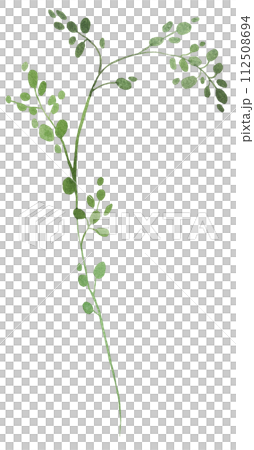 Watercolor tiny twig with green leaves isolated...のイラスト素材 [112508694 ...