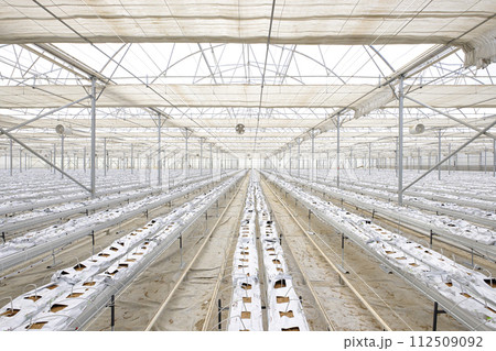 The frame of a modern empty greenhouse. Beautiful background The frame of a modern empty greenhouse. Beautiful background 112509092