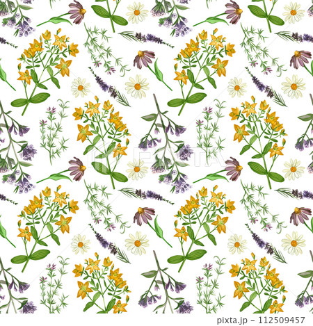 Watercolor pattern. Meadow grasses and flowers echinacea, hypericaceae, heather, chamomile, oregano hand drawn in watercolor. Suitable for printing on paper, fabric, scrapbooking, design, textiles. 112509457