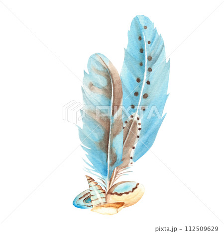 Watercolor composition from small sea shells, pebbles and blue feathers isolated on white background. Hand drawn illustration. 112509629