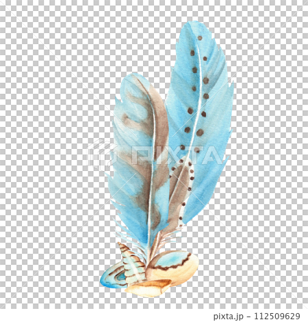 Watercolor composition from small sea shells, pebbles and blue feathers isolated on white background. Hand drawn illustration. 112509629