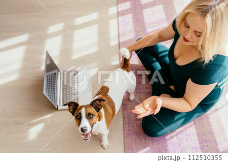 View from above of cute jack Russell terrier dog looking at camera and smiling, his female mature owner wears sportwear sitting at mat nearby with laptop. View from above of cute jack Russell terrier dog looking at camera and smiling, his female mature owner wears sportwear sitting at mat nearby with laptop. 112510355