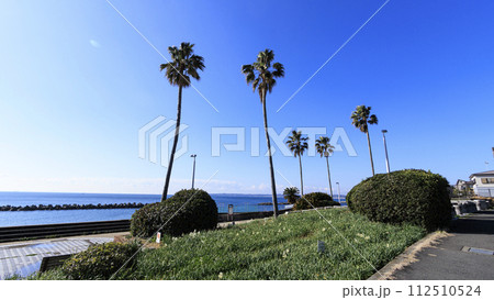 美しい海岸の風景 美しい海岸の風景 112510524