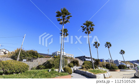 美しい海岸の風景 美しい海岸の風景 112510526