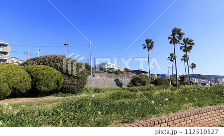 美しい海岸の風景 美しい海岸の風景 112510527