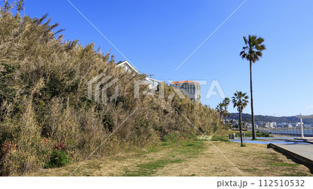 美しい海岸の風景 美しい海岸の風景 112510532