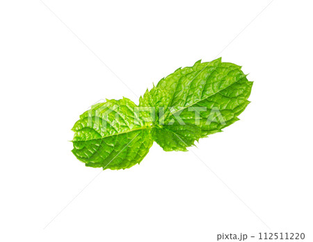 Mint leaves close up on white Mint leaves close up on white 112511220