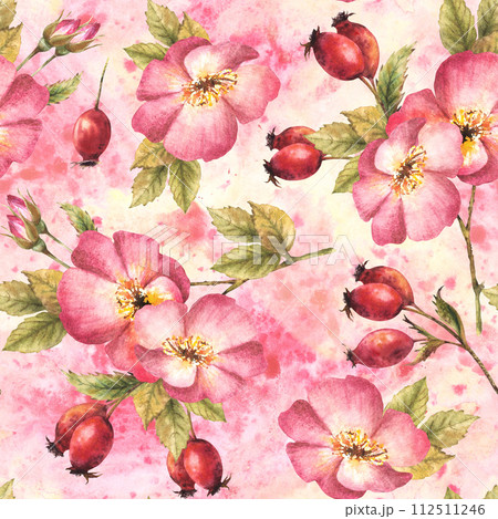 Watercolor wild rose hip branch with buds, flower, leaves, berry fruits, dog or brier rose Floral seamless pattern on pink yellow watercolor stroke, splash background. Hand drawn illustration isolated 112511246