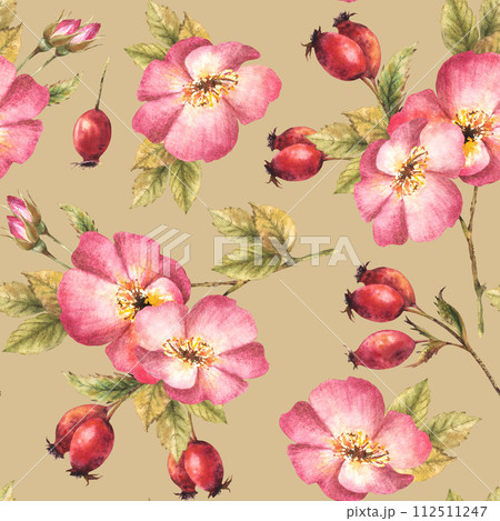 Watercolor pink wild rose hip branch with buds, flower, leaves, berry fruits, dog or brier rose Floral seamless pattern for print fabric, wallpaper Hand drawn illustration isolated coloured background 112511247