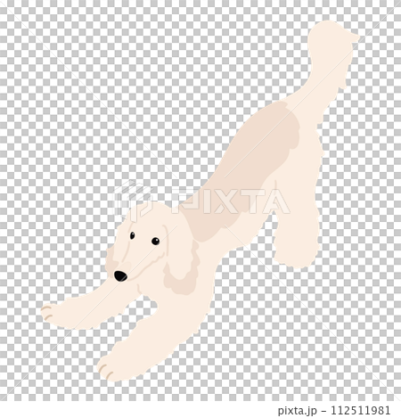 A hand-drawn illustration of a simple and cute Afghan hound that invites you to play.No main lines. 112511981