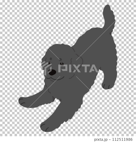 遊びに誘うシンプルで可愛いニューファンドランドの手描きのイラスト　主線なし 112511986